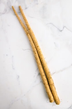 Burdock Roots (Gobo) | Easy Japanese Recipes at JustOneCookbook.com