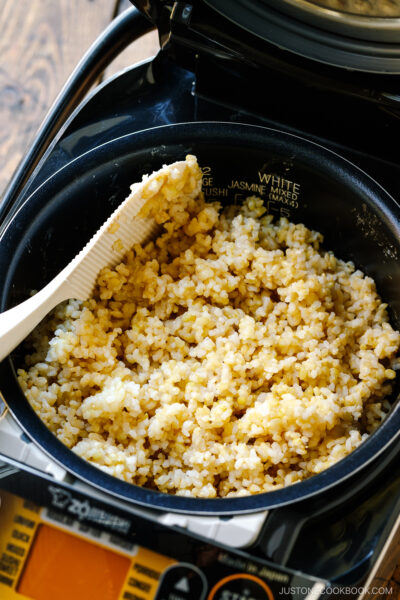 A rice cooker containing freshly cooked brown rice.