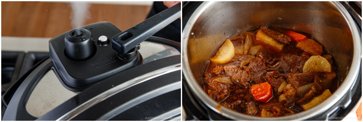 Instant Pot Short Ribs 19