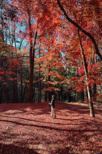 a man standing among trees