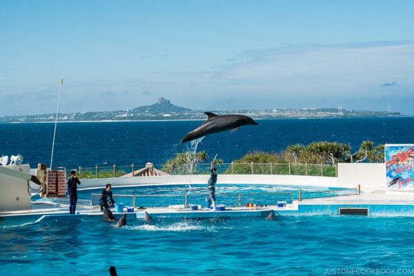 Okinawa Expo Park Okichan Theater | justonecookbook.com