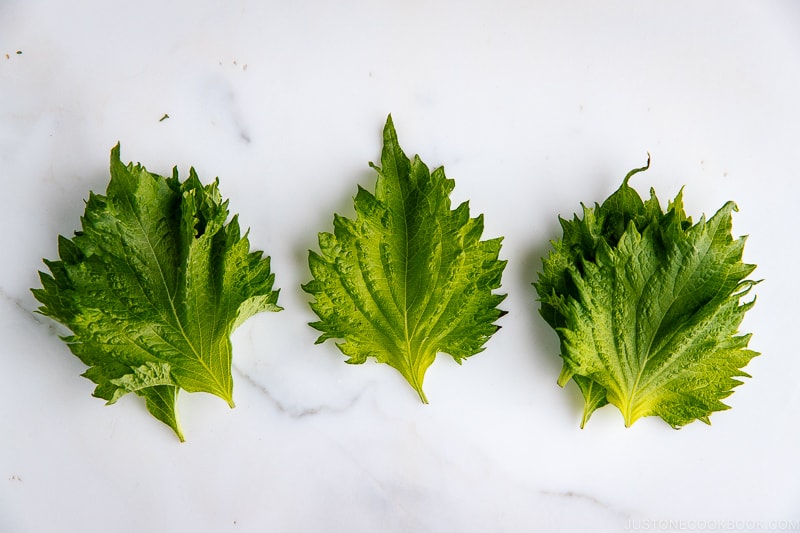 Shiso Leaves | Easy Japanese Recipes at JustOneCookbook.com