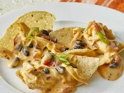 Outrageous Warm Chicken Nacho Dip